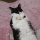 Анастасия Акимова